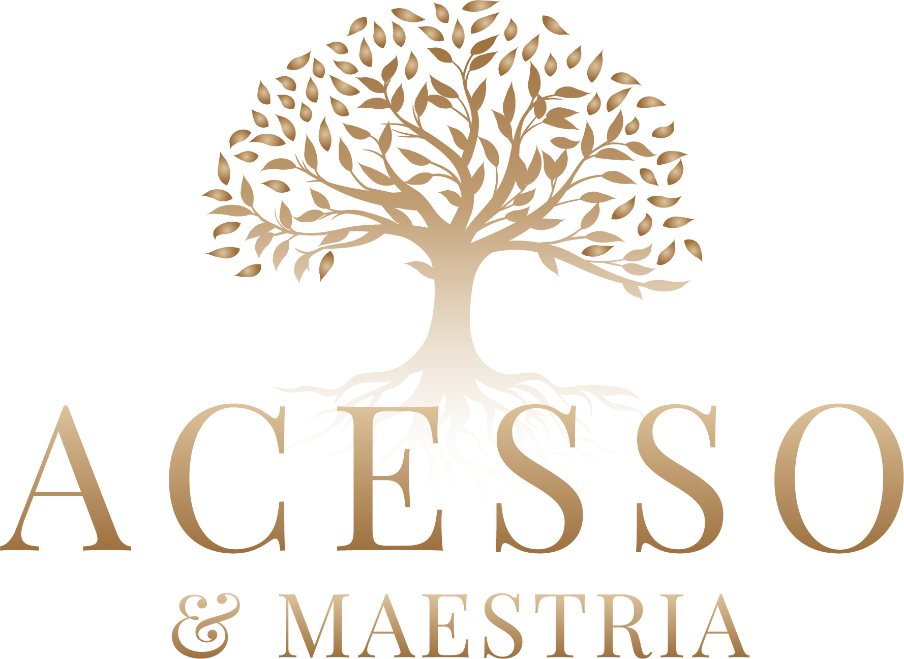 Acesso & Maestria